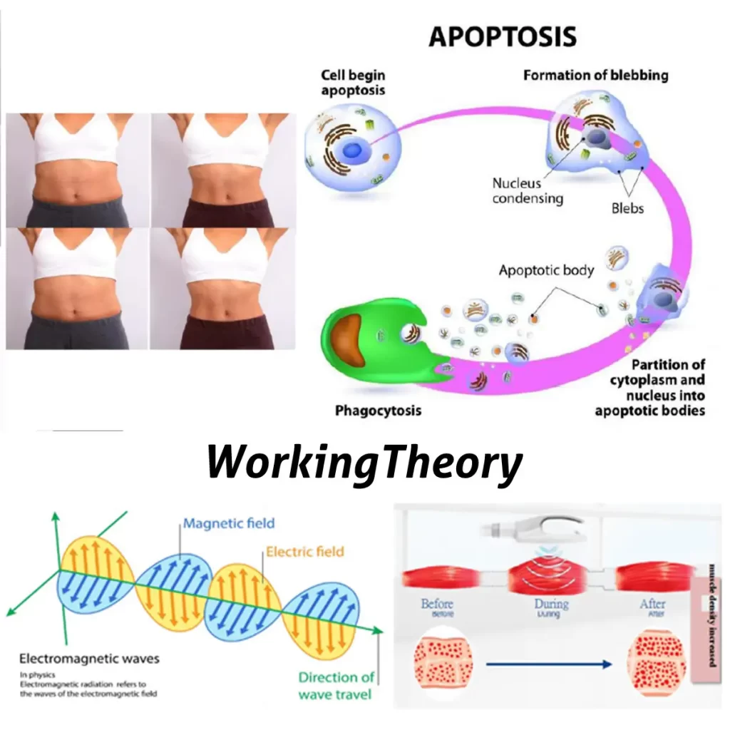 Hemslimmer Body Sculpture - broslazer